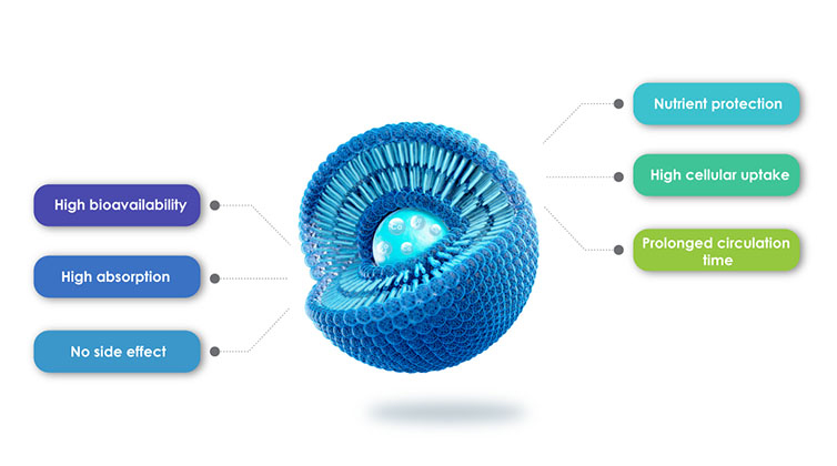 리포솜 제품의 장점