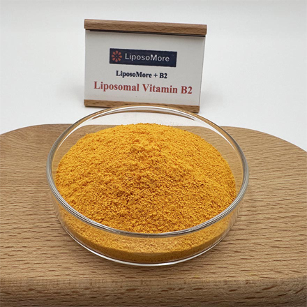 리포솜 비타민 B2