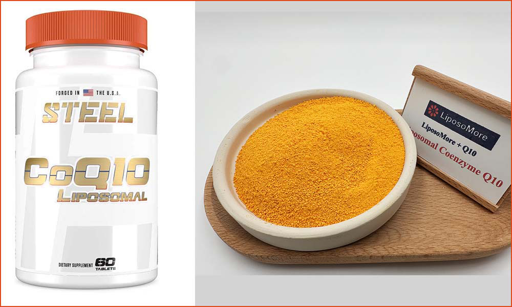 정제 용 리포솜 성분