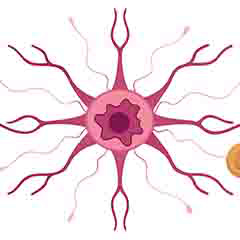 신경 시스템 건강