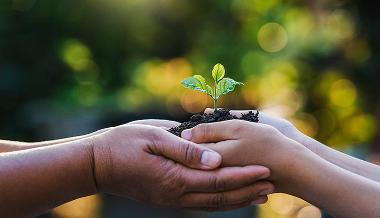 즐거운 영양 사회적 책임에 대해서