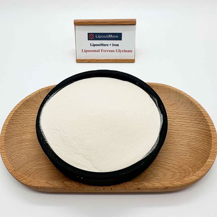 리포솜 철 글리시 네이트