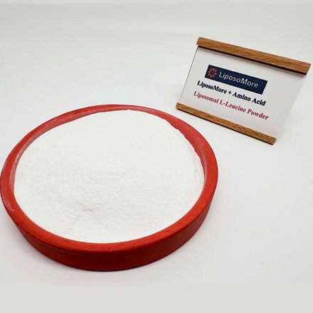리포솜 L-류신