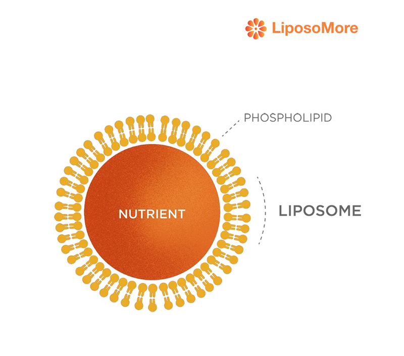 향상된 성분 안정성