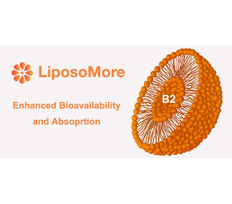 향상된 생체 이용률 및 흡수