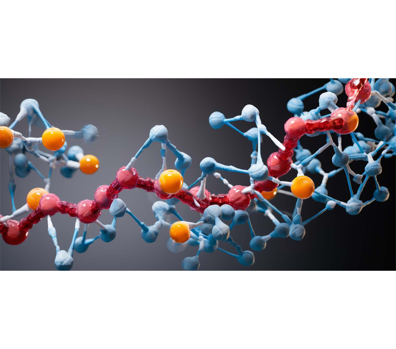 세포 대사 강화