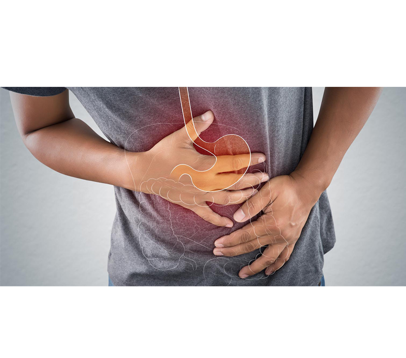 부드럽고 잘 견디는 형태