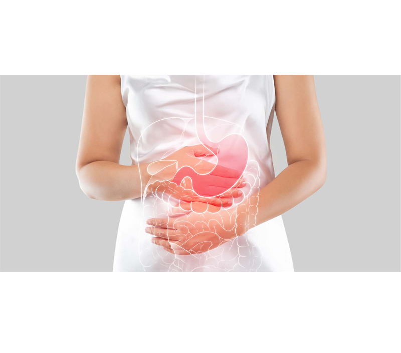 소화 시스템에 부드러운