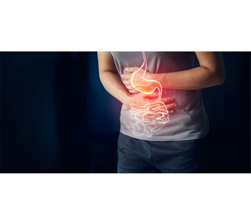 소화 시스템에 부드러운