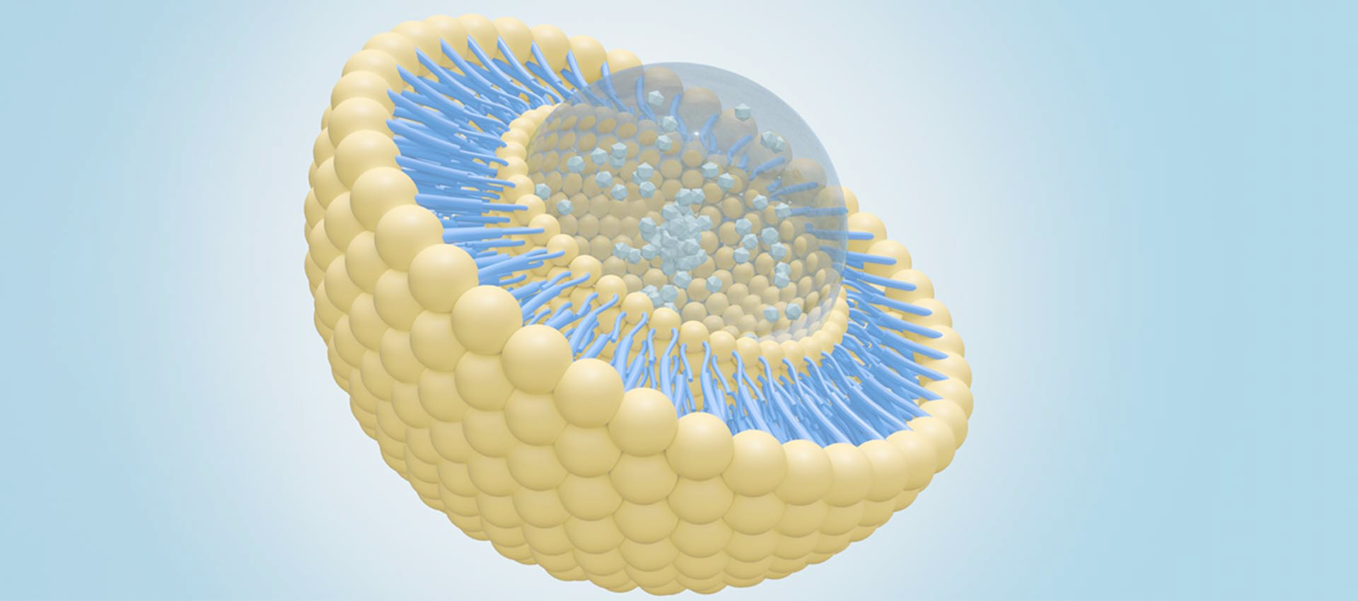 리포솜 알파 리포산
