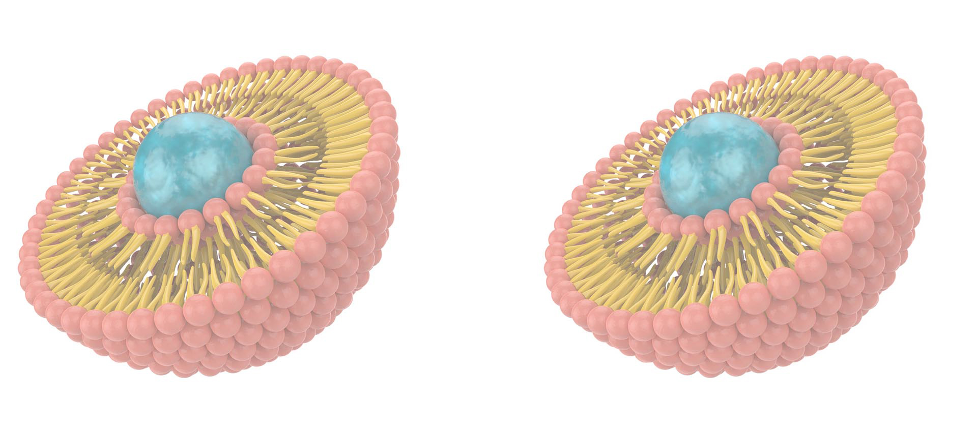 리포솜 비타민 B 복합체