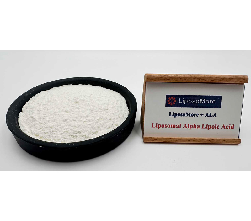 우수한 항산화 지원