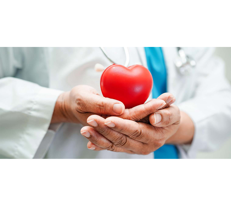 심혈관 건강 지원