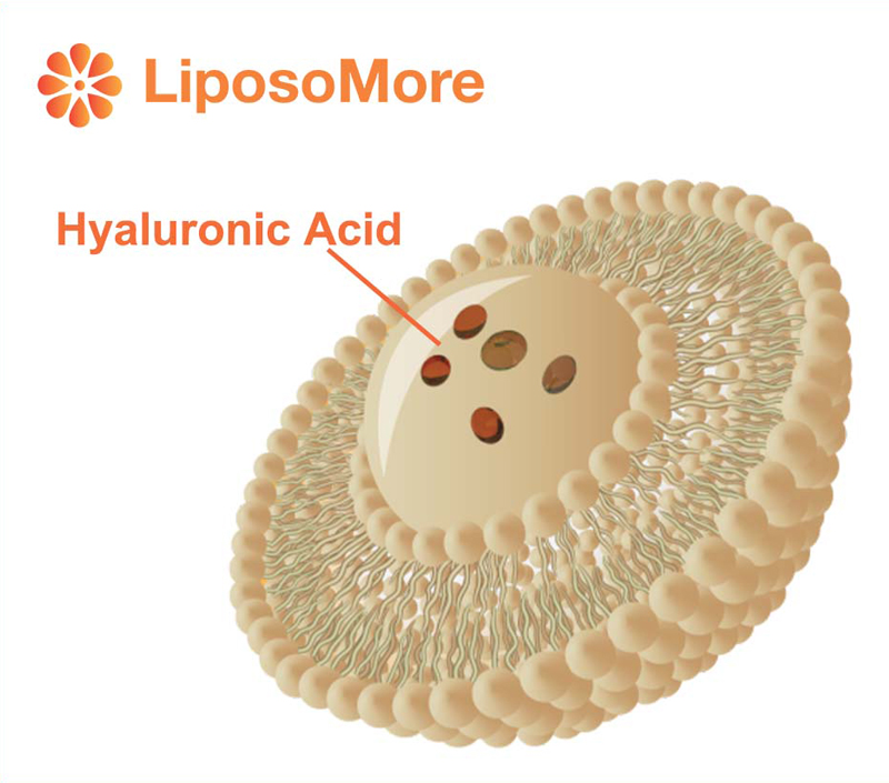 향상된 흡수 및 생체 이용률