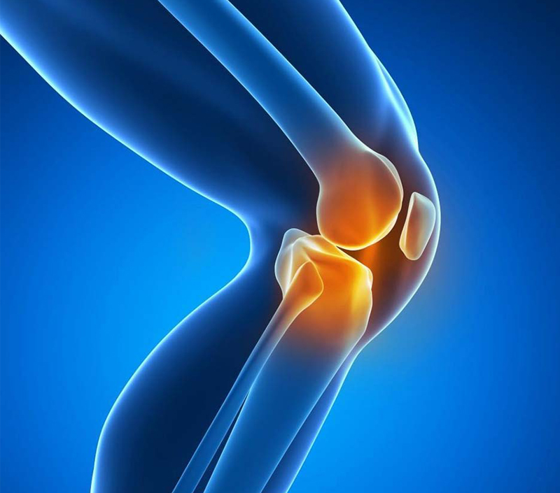 공동 윤활 및 이동성 향상