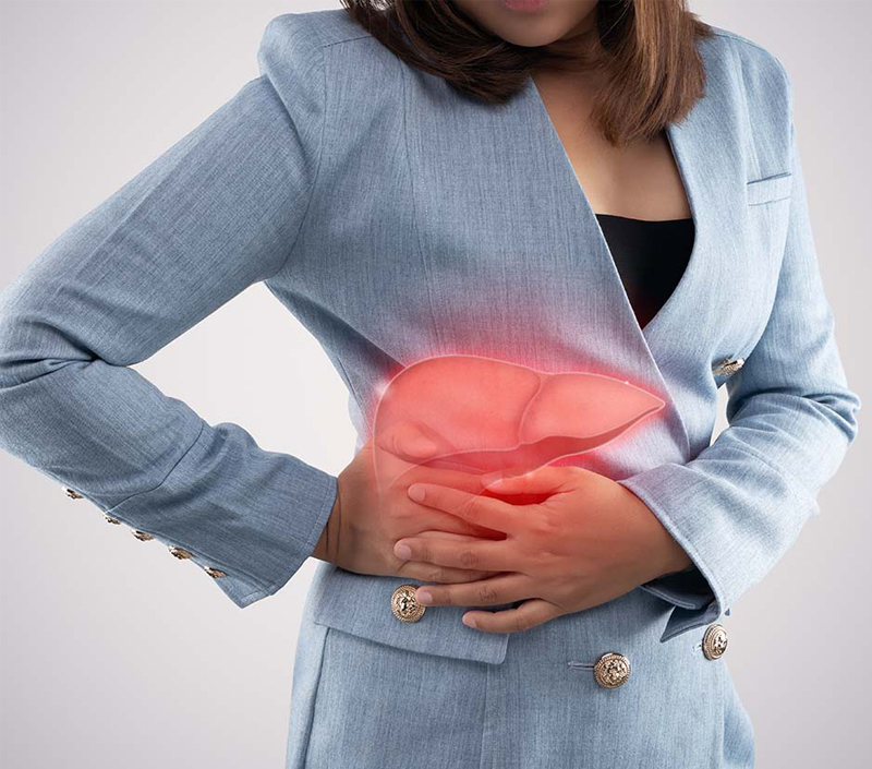 간 건강 및 해독 지원