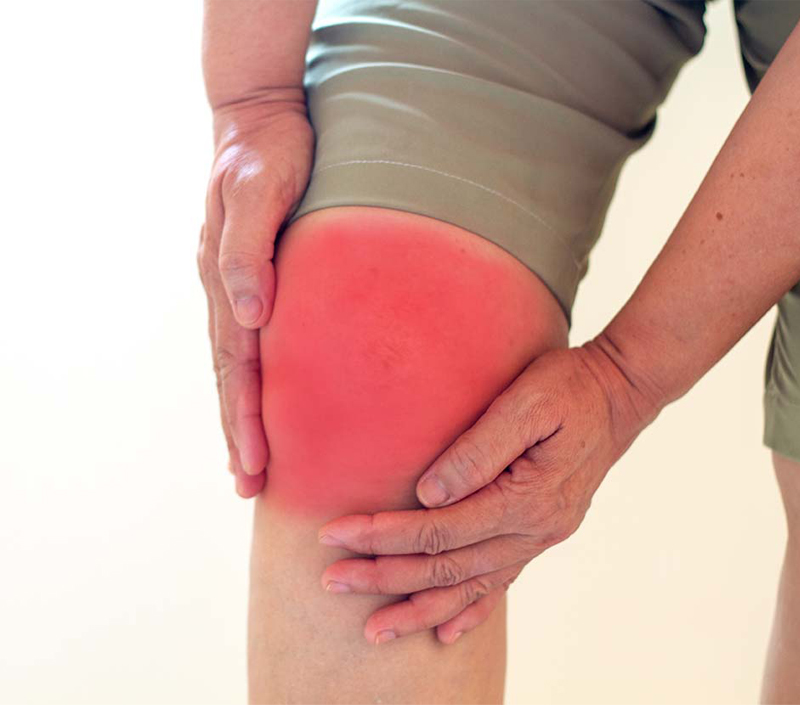 최대 효과를위한 우수한 생체 이용률