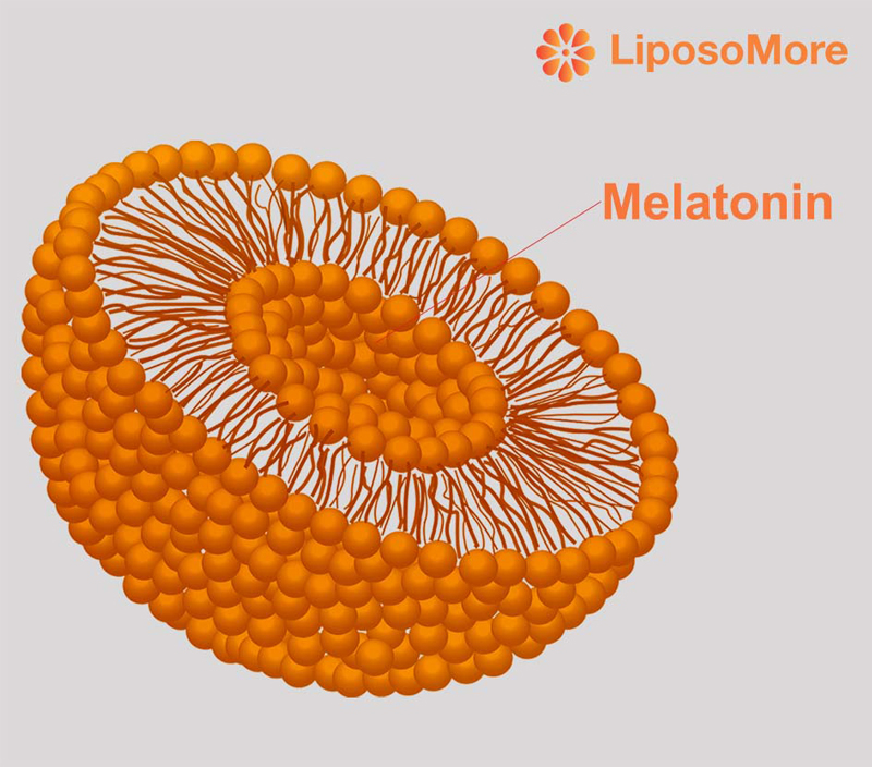 고급 영양 전달 시스템