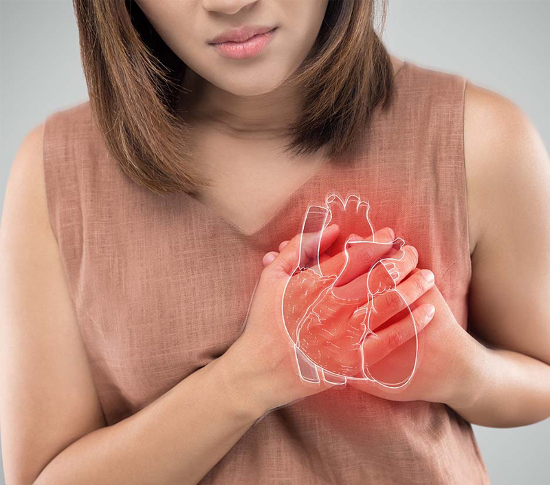 심혈관 및 혈관 보호