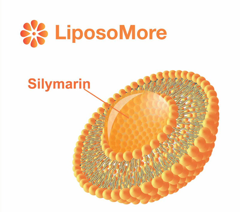 향상된 생체 이용률 및 세포 흡수