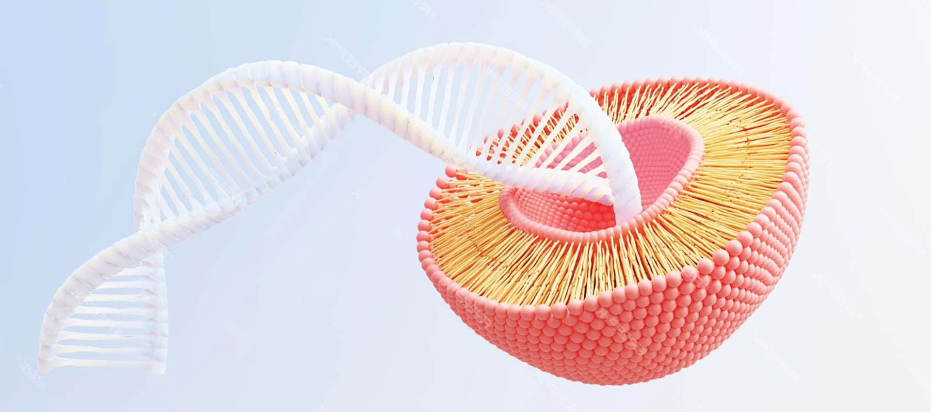 리포솜 페릭 피로 포스페이트