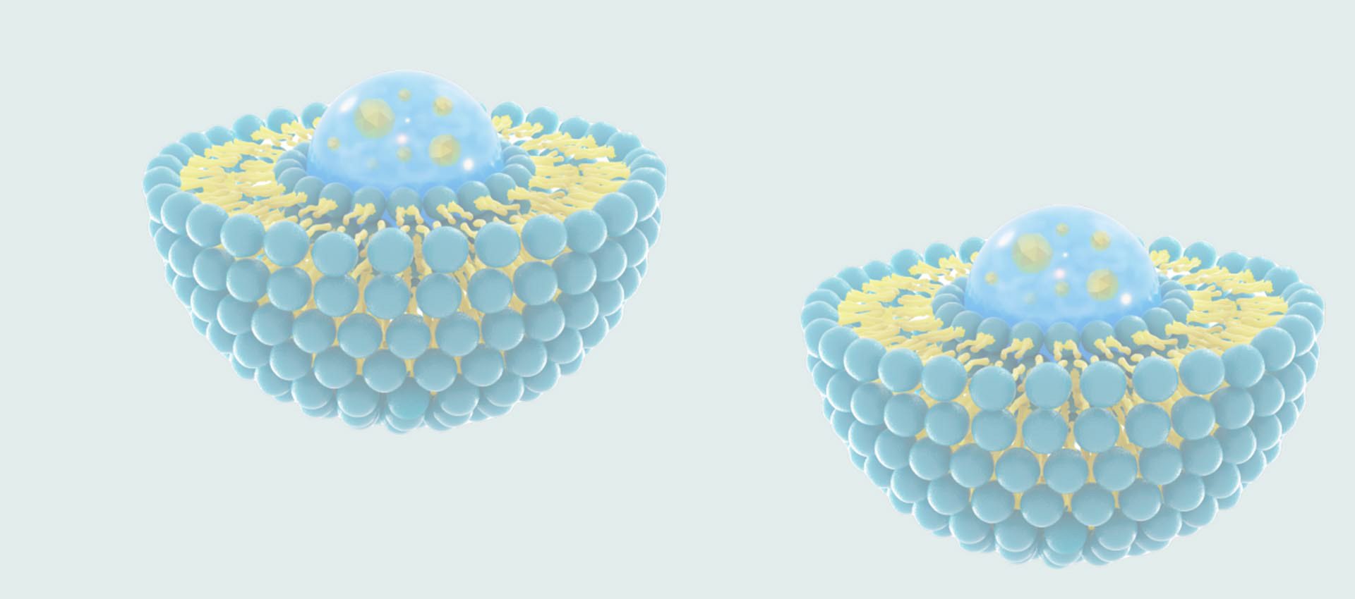 리포솜 글루타티온