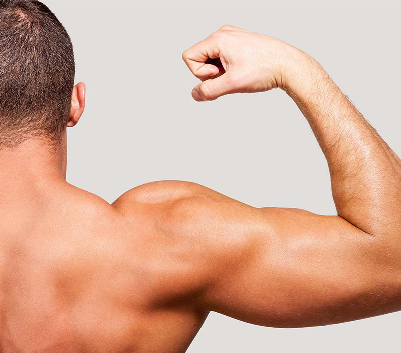 근육 기능 및 신체 회복 지원