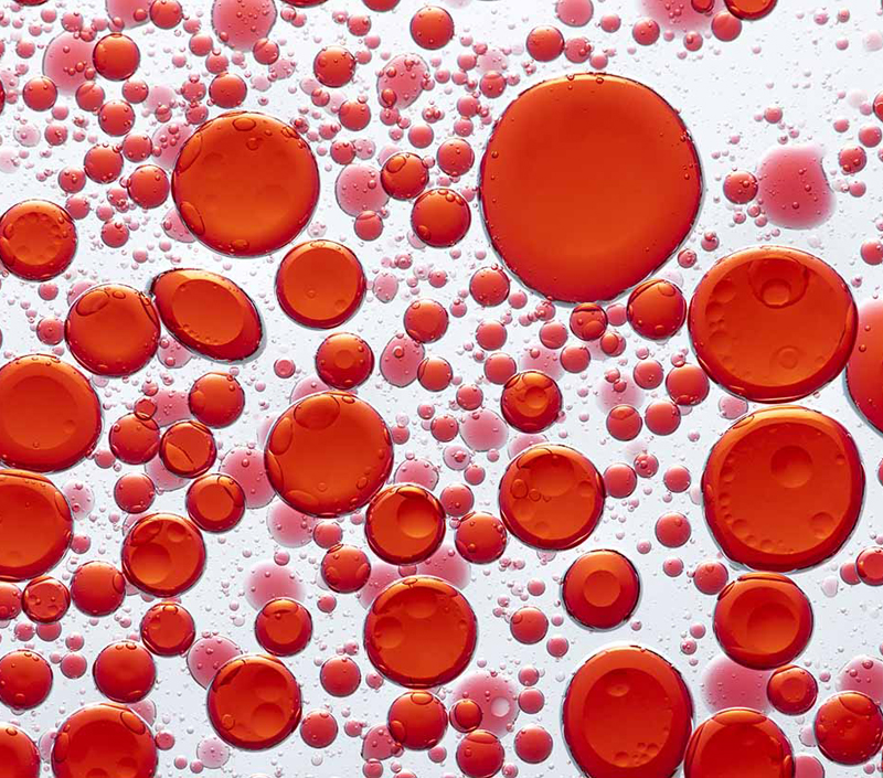 적혈구 형성 및 산소 수송을 지원합니다