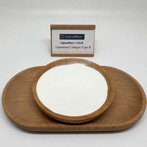 리포솜 콜라겐 유형 II