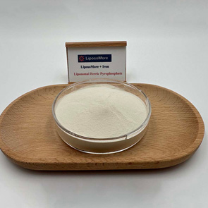 리포솜 페릭 피로 포스페이트