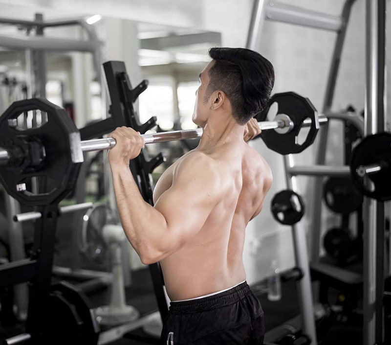 근육 성장과 신진 대사 활동 지원