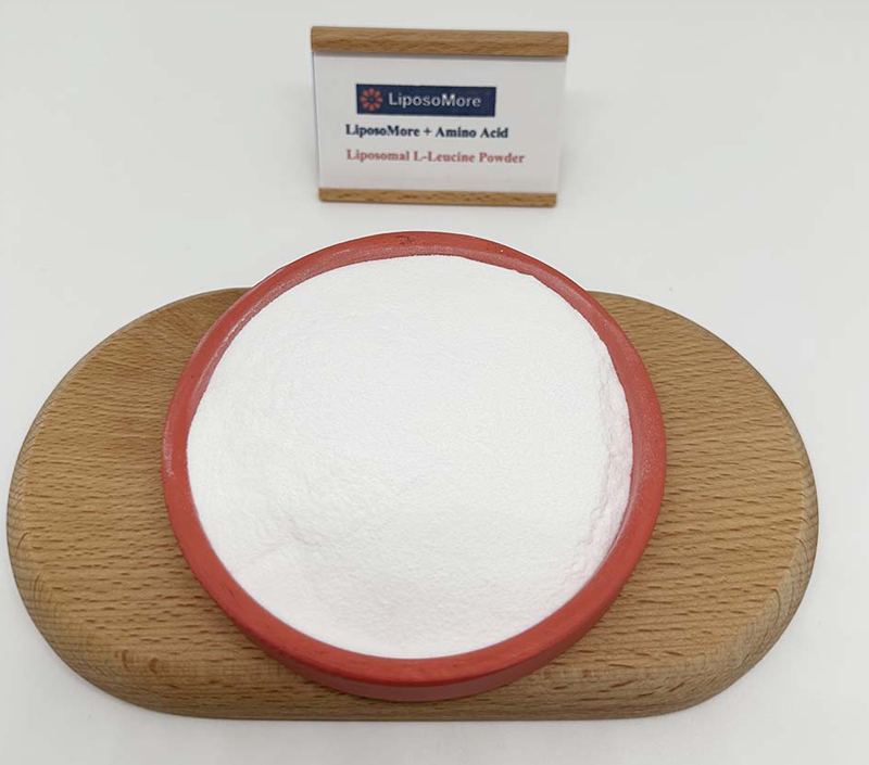 제제의 안정성 및 용해성 향상