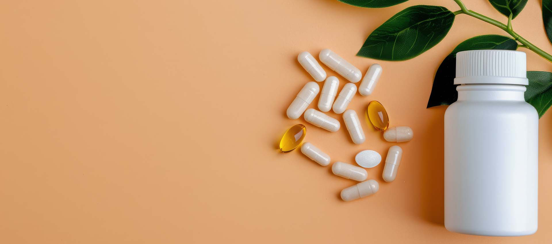 리포솜 이소루신