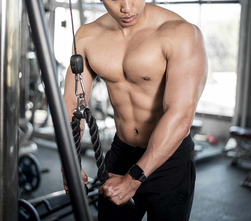 근육 성장과 회복을 지원합니다