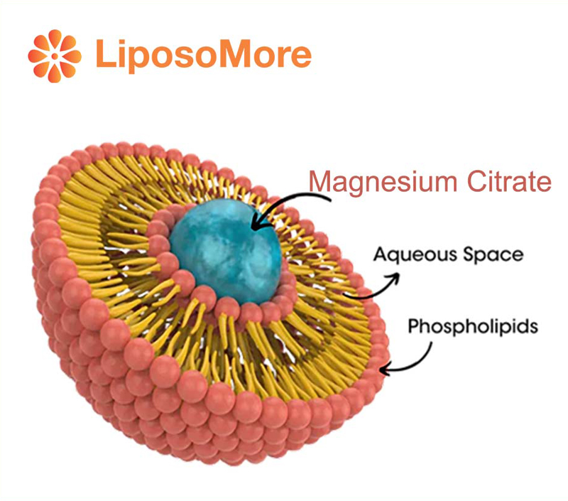 위장 부작용 최소화