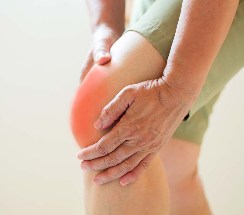 뼈 밀도 및 심혈관 건강 지원