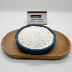 리포솜 케르세틴