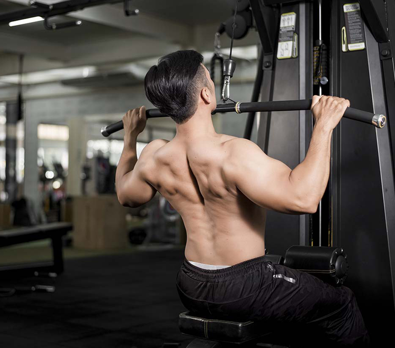 세포 및 근육 기능 지원