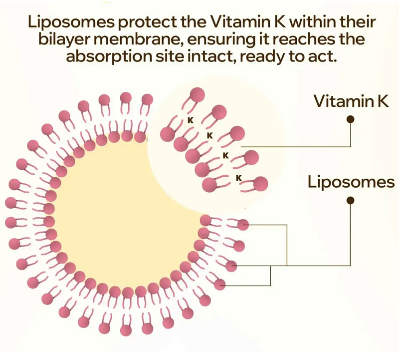 부드럽고 대상 배달