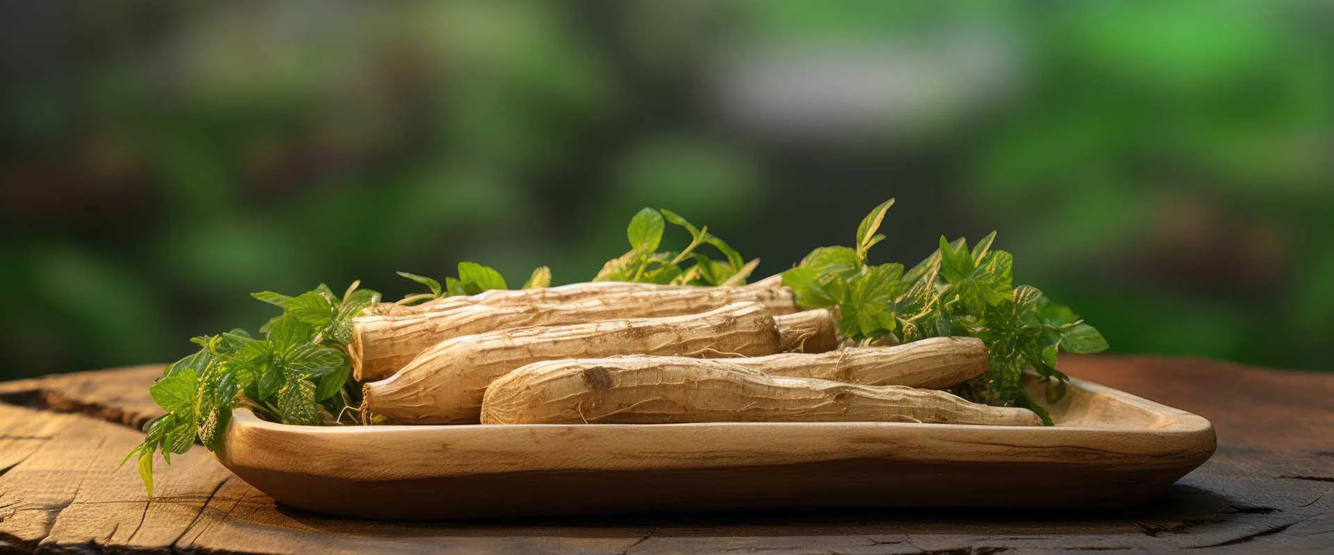 리포솜 Ashwagandha 기능