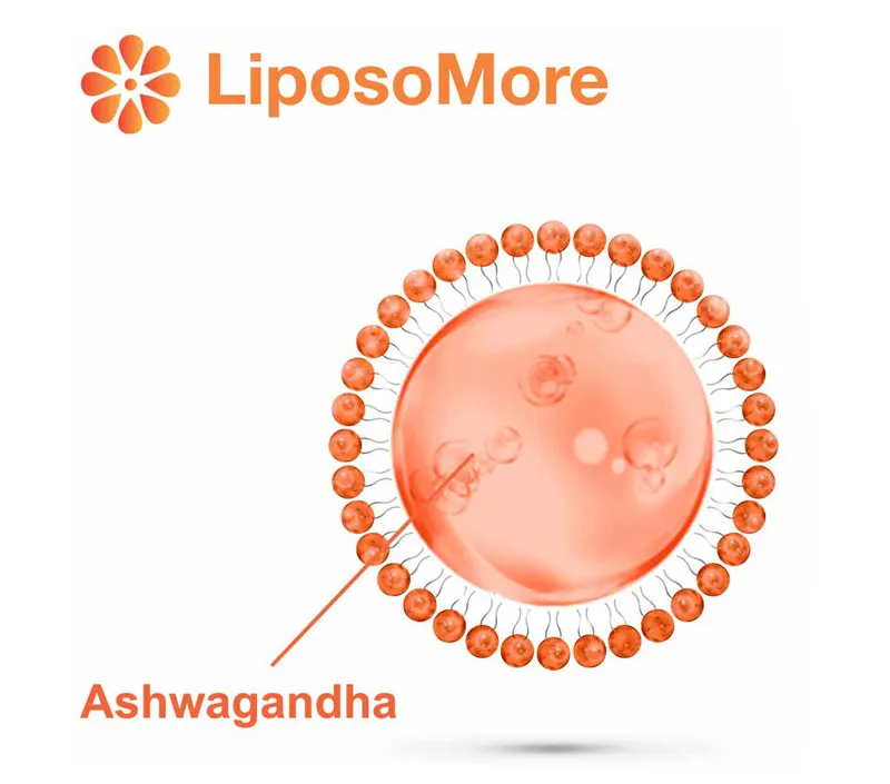 기분 향상 및 정서적 균형