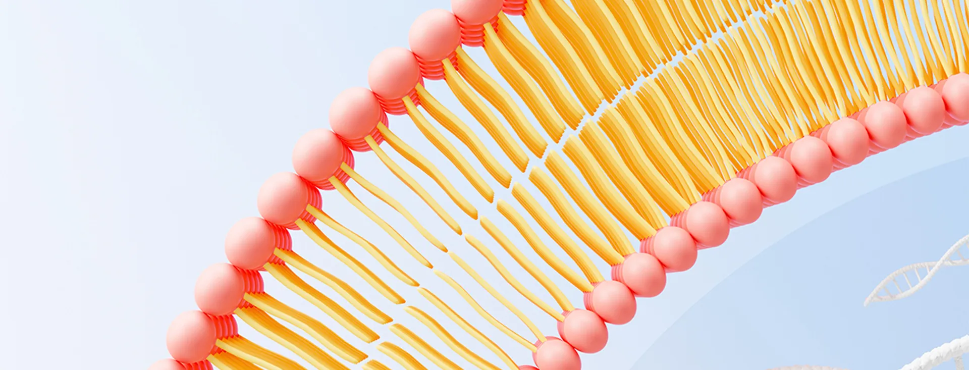 리포솜 성분 제조 업체