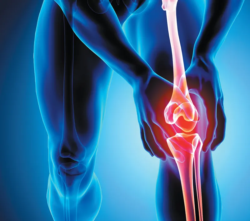 효과적인 공동 편안함과 이동성 지원