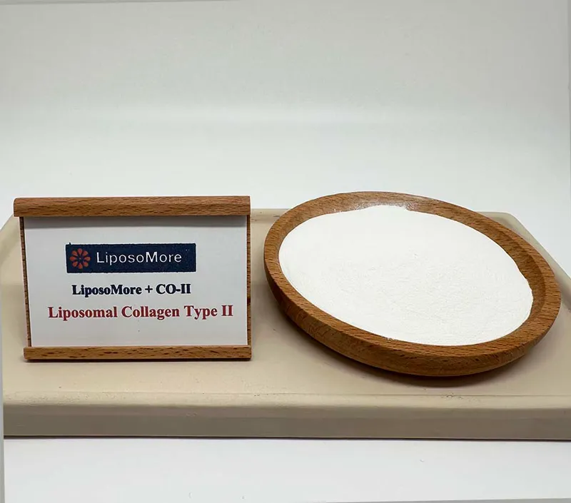 우수한 연골 지원