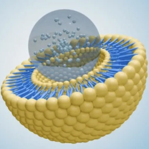 미세 캡슐화 대 리포솜 기술: 식이 보충제에 더 좋은 것은 무엇입니까?